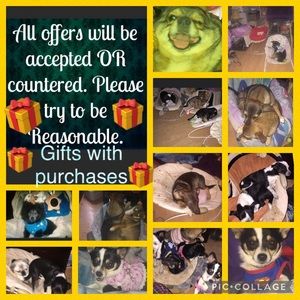 I’m Bunny your posher I sell & trade